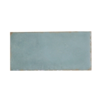 ANTIGO - 2X5, MIST, GLOSSY