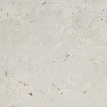 ANVAYA - 12X12, ASTER, MATTE