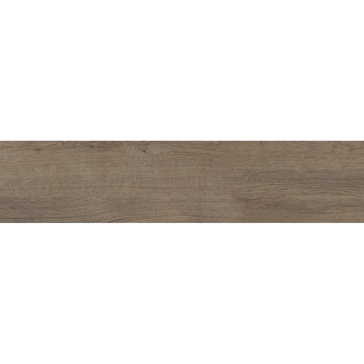 boxwood_wando_f84boxwwa0835m_s