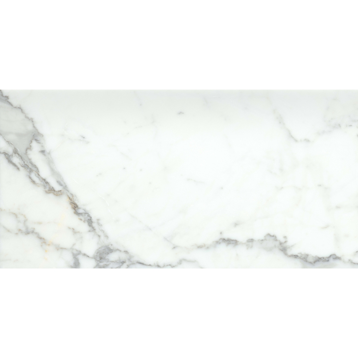 MARBLE - 12X24 CALACATA ORO, CALACATA ORO, HONED | Emser Tile