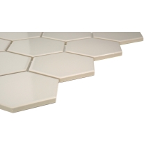 CATCH - 3X3/10X12, FAWN, GLOSSY