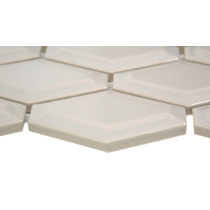 CATCH - 2X2/10X13, FAWN, GLOSSY