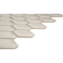 CATCH - 2X2/10X13, FAWN, GLOSSY