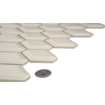 CATCH - 2X2/10X13, FAWN, GLOSSY