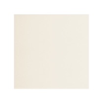 CATCH - 6X6, IVORY, GLOSSY