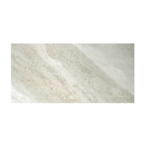 CAVERNA - 12X24, FOSSIL, INDOOR R11