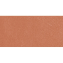 CLAYTONE - 12X24, CORAL, MATTE