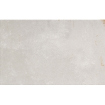 COGENT - 10X16, SILVER, MATTE