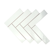 COGNITO - 2X8/11X11, ICE, GLOSSY