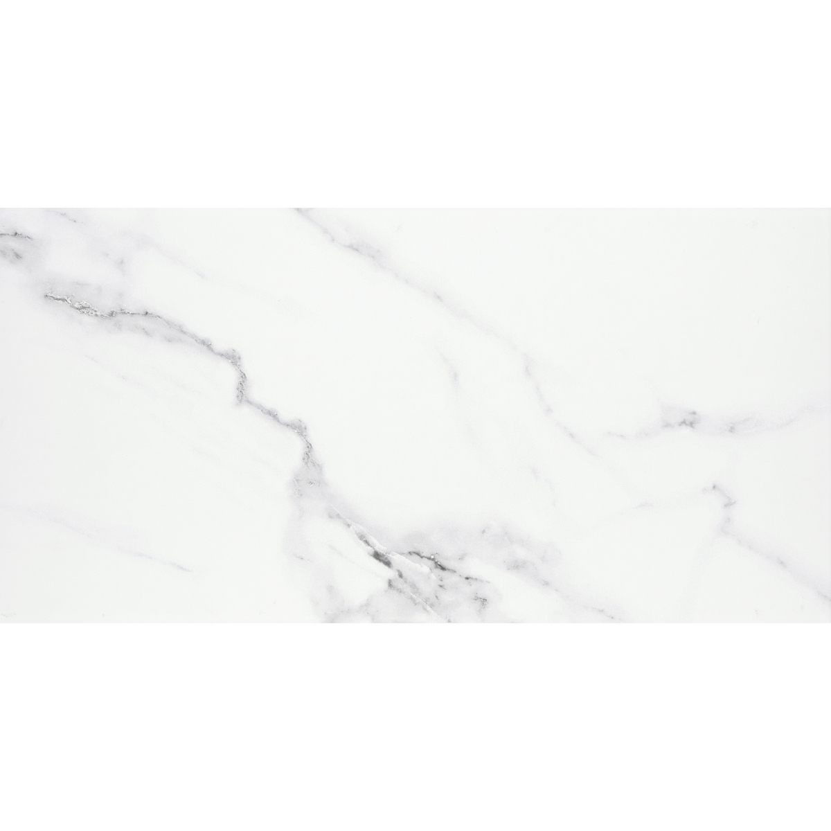 CONTESSA - 24X47, DAMA, MATTE | Emser Tile