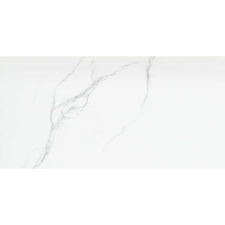 DUCHESSA - 12X24, SILVER, MATTE