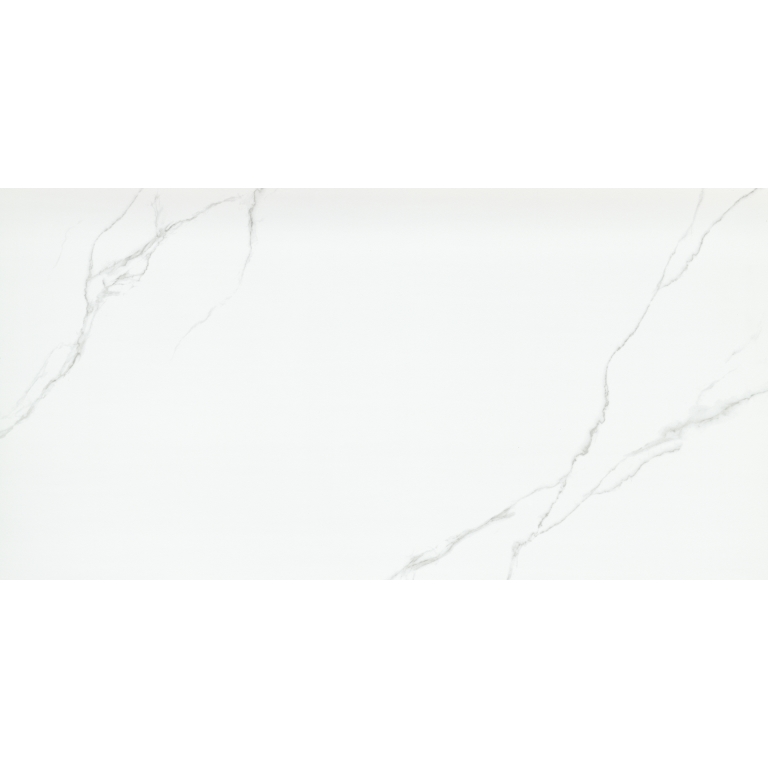 DUCHESSA - 24X47, SILVER, MATTE