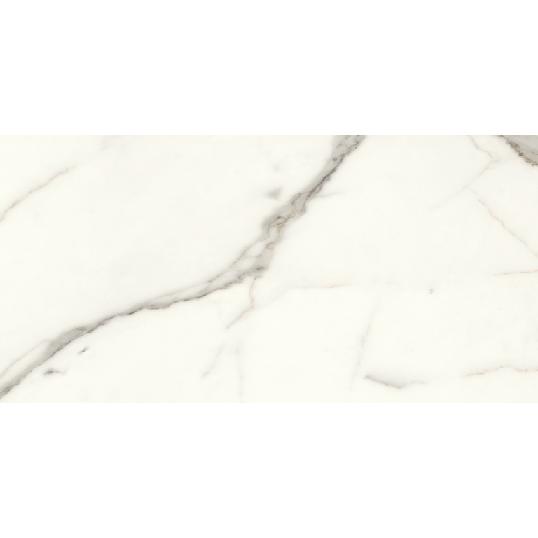 Expanse Dynamix - 12X24, Intensa Silver, Matte