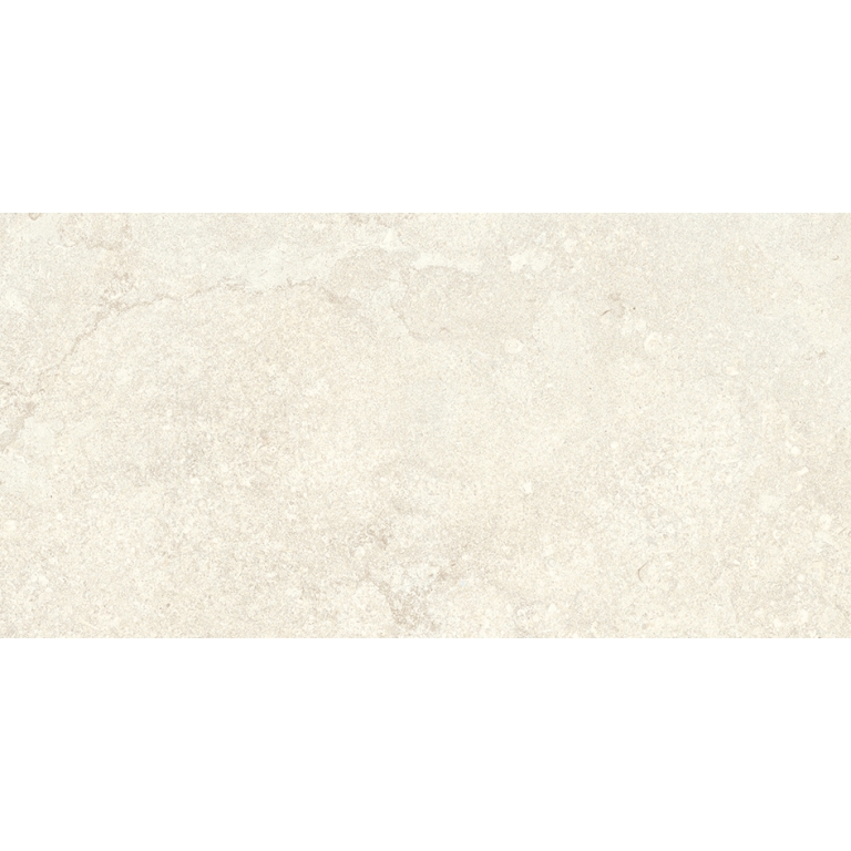 Expanse Dynamix - 12X24, Ristori Fog, Matte