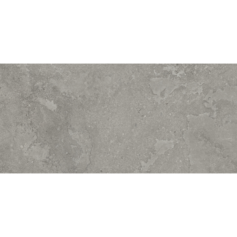 Expanse Dynamix - 12X24, Ristori Gray, Matte