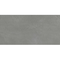 EMCORE LVP - 12X24, GRAY LDS, MATTE