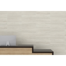 ESPLANADE - 12X24, ALLEY, MATTE