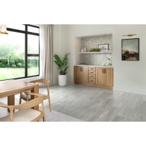 LITERATI - 1.62X2.81/12X12, IRVING, GLOSSY/HONED/TEXTURE