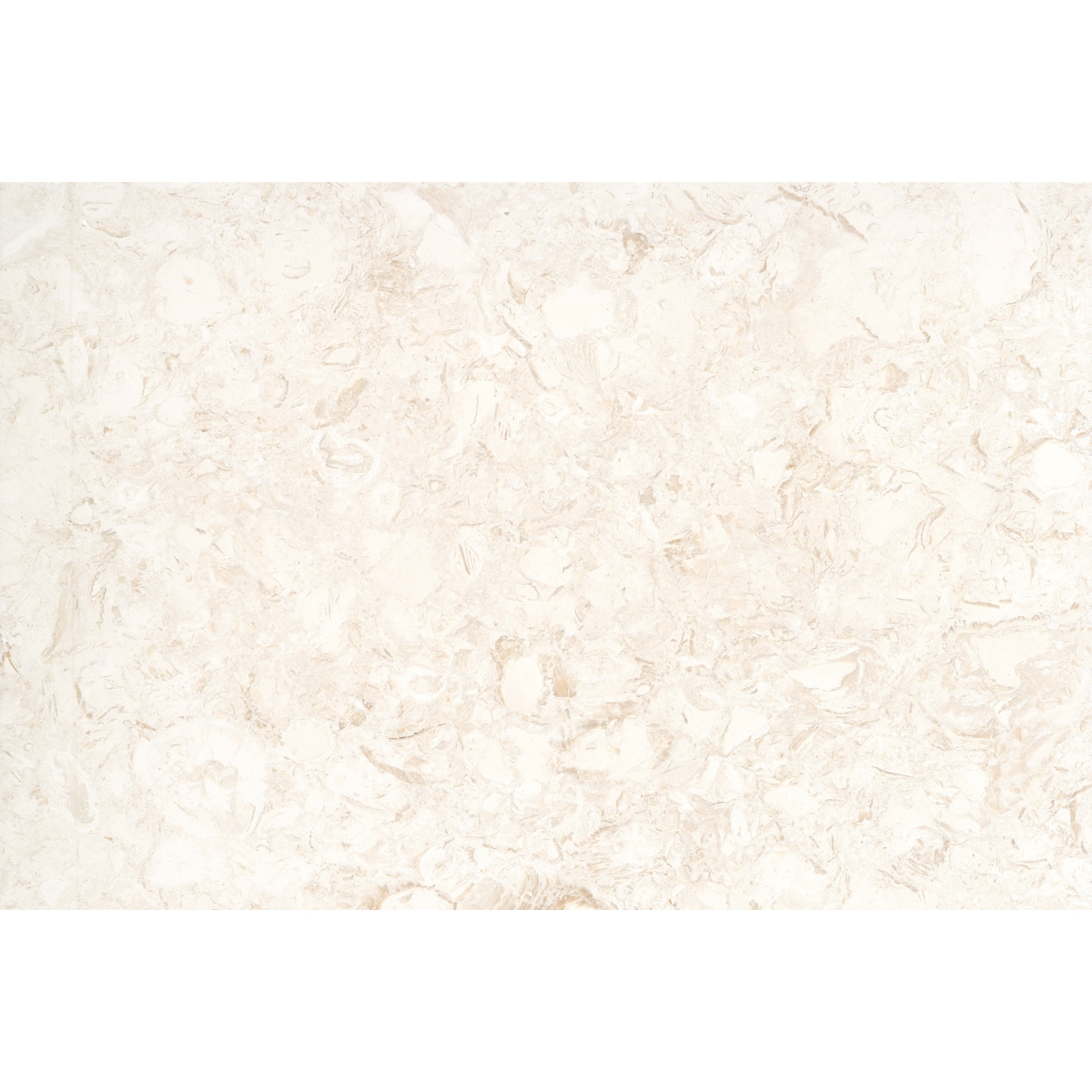 Extero Shell Brushed 5cm Coping