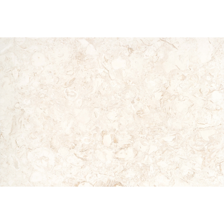 EXTERO - 16X24, SHELL, BRUSHED