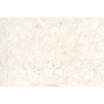 EXTERO - 16X24, SHELL, BRUSHED