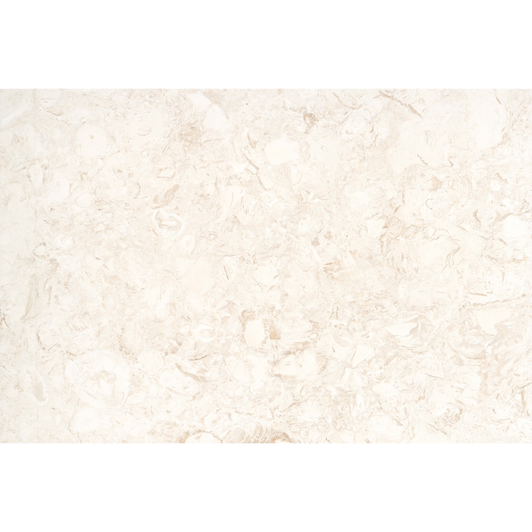 EXTERO - 16X24, SHELL, BRUSHED