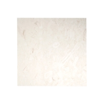 EXTERO - VERSAILLES SET, SHELL, BRUSHED