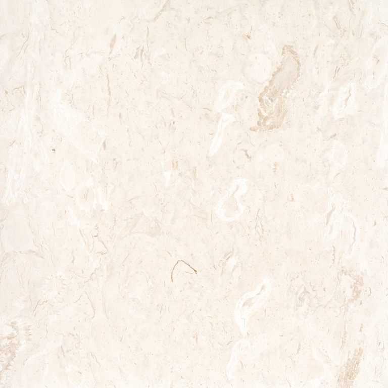 EXTERO - VERSAILLES SET, SHELL, BRUSHED