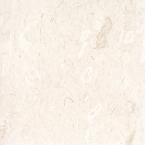 EXTERO - VERSAILLES SET, SHELL, BRUSHED