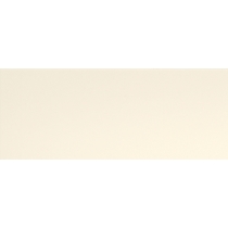 FLEX - 4X10, BONE, GLOSSY