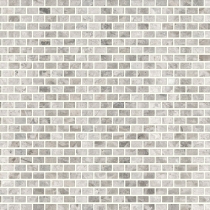 MARBLE - 1X2/12X12 SILVER, SILVER, POLISHED