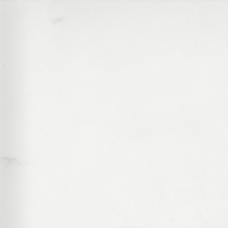 MARBLE - 24X24 THASSOS WHITE, THASSOS WHITE, POLISHED