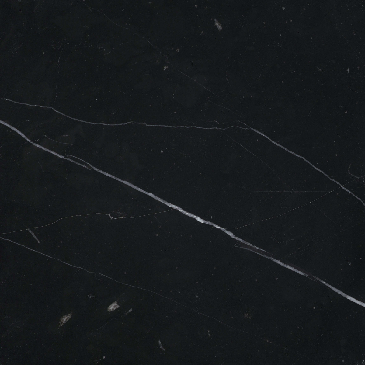 MARBLE - 12X12 MARQUINA BLACK, MARQUINA BLACK, POLISHED | Emser Tile
