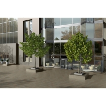 CITIZEN - 12X24, RESIDENT, MATTE