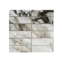 PARKVIEW - 2X6/12X12, ASTRAL, POLISHED