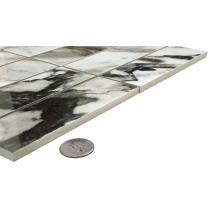 PARKVIEW - 2X6/12X12, ASTRAL, POLISHED