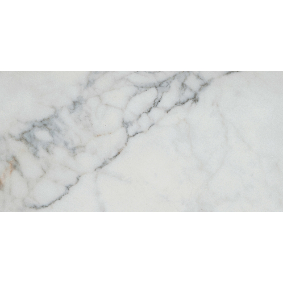 PARKVIEW - 12X24, WHITE, MATTE | Emser Tile