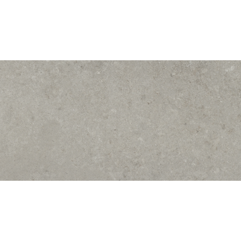 PERENNE - 12X24, GRAY, MATTE