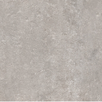 PERENNE - 24X24, GRAY, MATTE