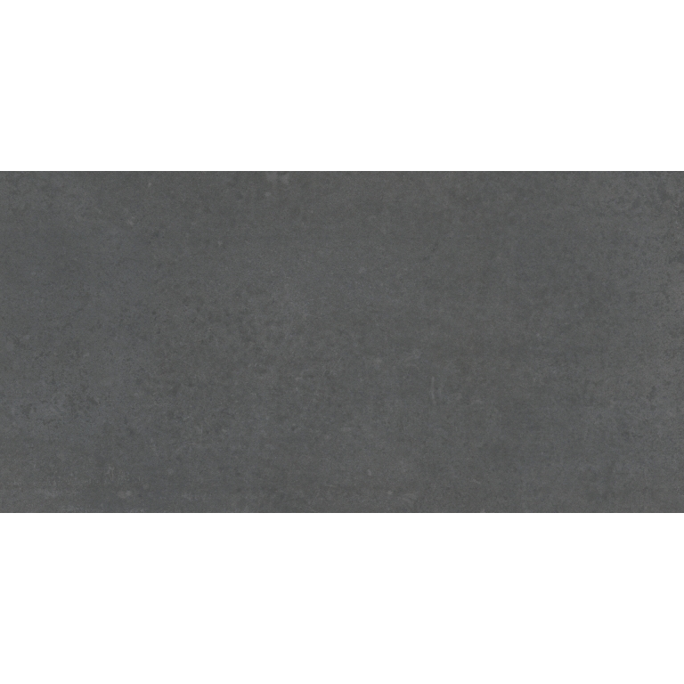 PERENNE - 12X24, INK, MATTE