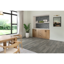 POCONO - 6X36, GRAY, MATTE