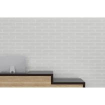 RAKU - 3X12, WHITE, GLOSSY | Emser Tile