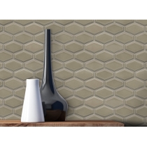 REWARD - 2X4/10X11, TAUPE, GLOSSY