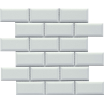 REWARD - 2X4/11X12, WHITE, GLOSSY