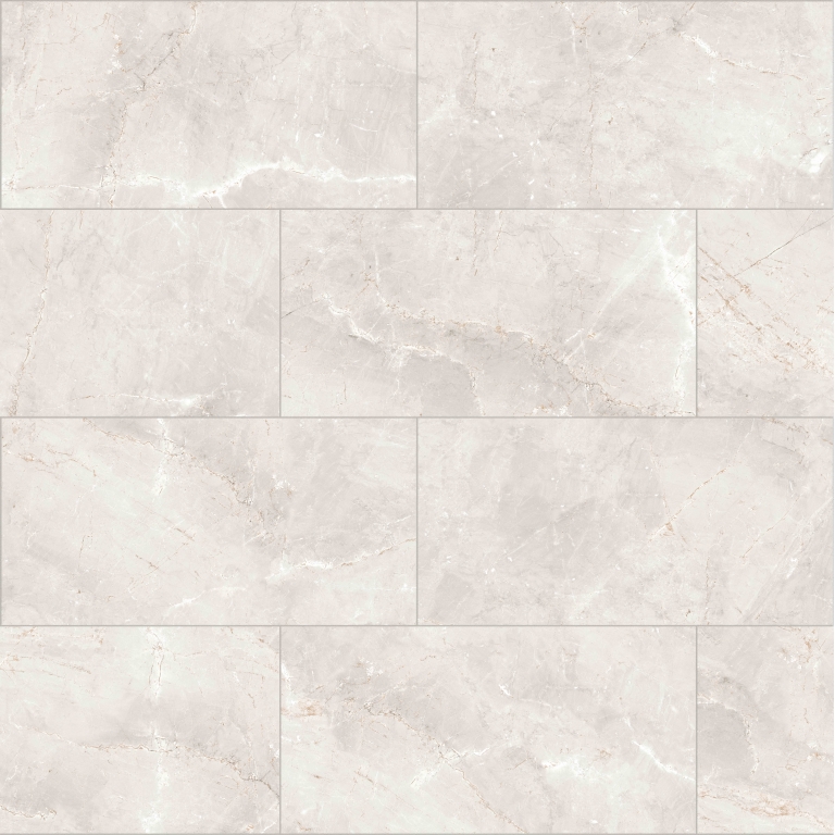 SAVINO - 12X24, ARGENT, POLISHED