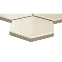 SAVVY - 2X2/11X12, OAT, GLOSSY