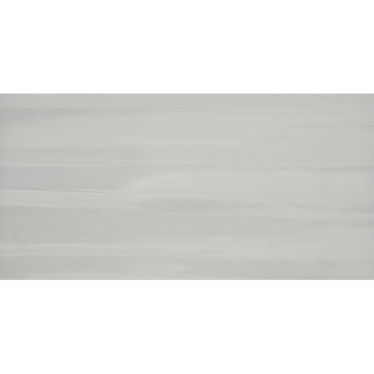 SILHOUETTE - 12X24, CONTOUR, MATTE