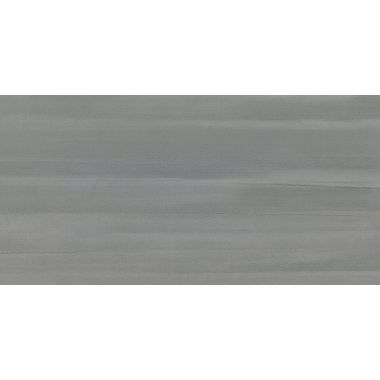 SILHOUETTE - 12X24, SHADOW, MATTE