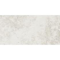 SILQUE - 12X24, ICE, MATTE