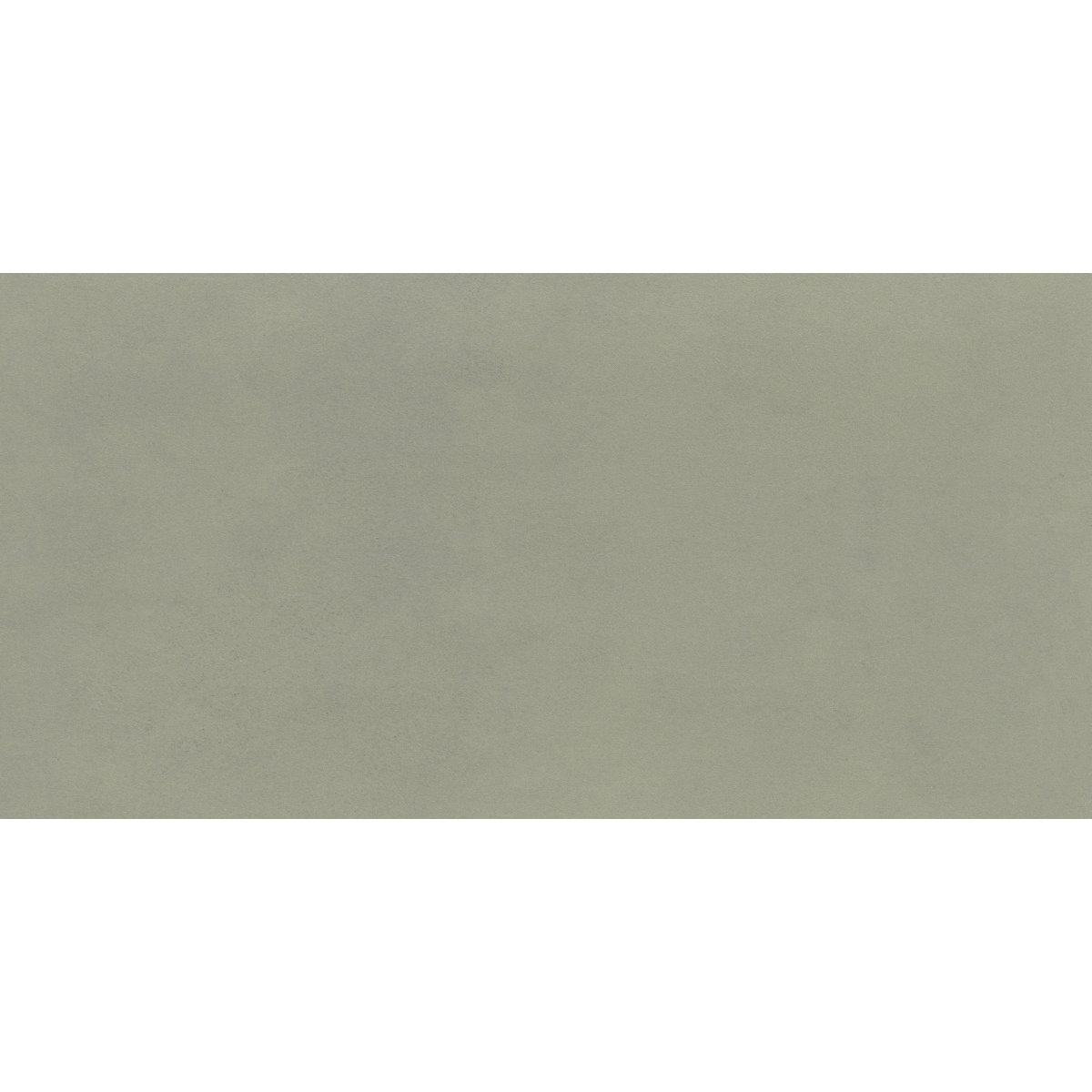 EMS ブイセラ SPECTRA - 12X24, FOREST, MATTE | Emser Tile